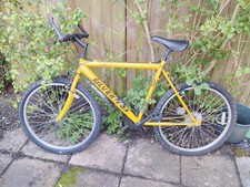 Silver Fox Mountain Bike