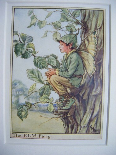 Vintage flower fairies print - vintage,