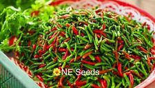 🌶 100% Genuine Indian