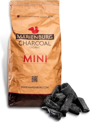 Bbq charcoal grill pizza - charcoal,