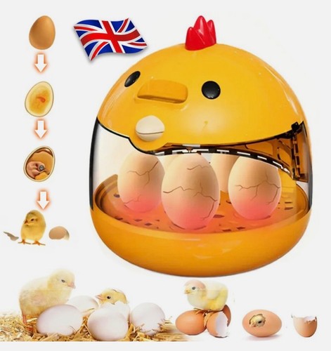 Egg incubator hatching machine - egg,
