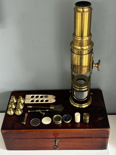 Very fine cased martin - very,