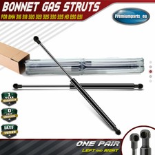 2x Bonnet Hood Gas Struts for