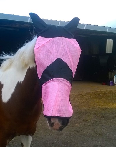 Fine mesh horse cob - horse, pony