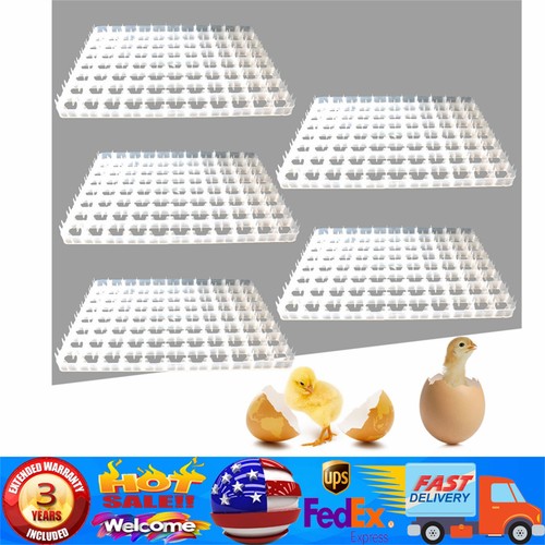 Egg hatching incubator trays - hatching,