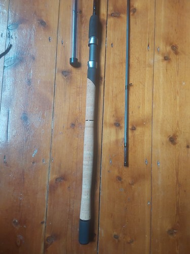 Daiwa spectron 11ft - spectron,