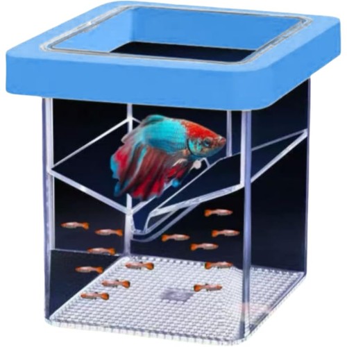 Floating fish tank - floating, breeder