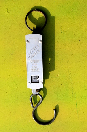 Vintage salter little - salter,