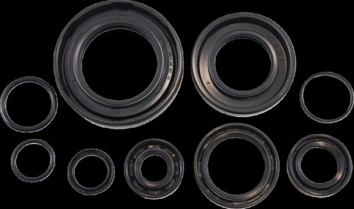 Vintco oil seal kit - oil, for