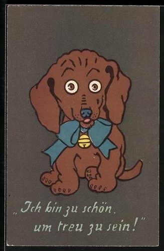 Funny dachshund with - ak,