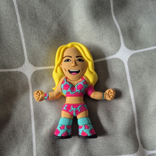 Pro wrestling micro brawler - wrestling,