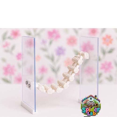 Jumping spider magnetic - jumping,