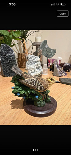 Eaglemoss country bird - country,