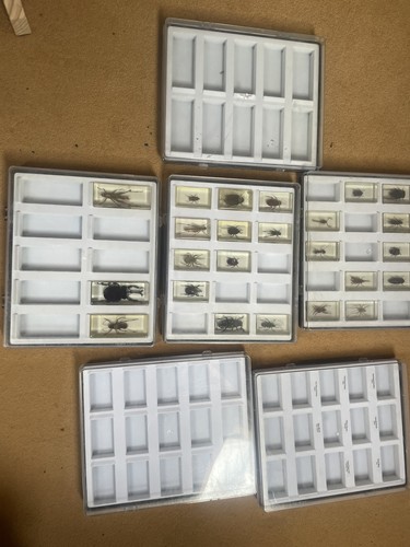 Job lot national - 24,