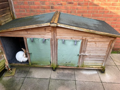 Large rabbit hutch for sale - rabbit,