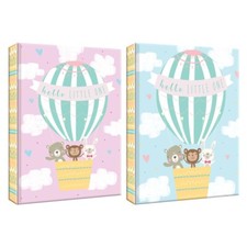 2 x Baby Photo Albums Slip In