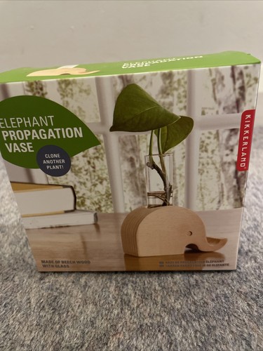 Propagation plant vase - propagation,