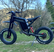20" Fat Tyre Electric Bike for