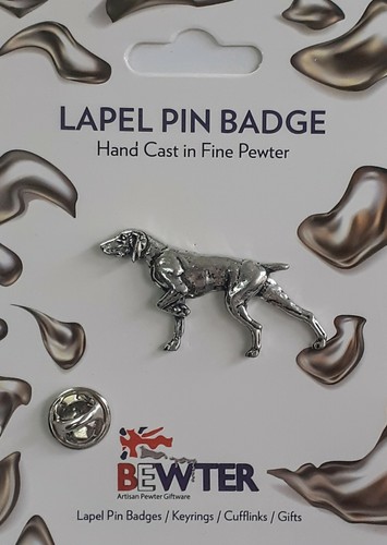 English pewter pointer - english, dog
