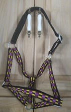 Class B Miniature Horse size