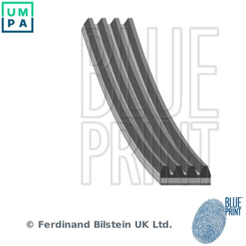 Vribbed belt ad04r935 for - vribbed,