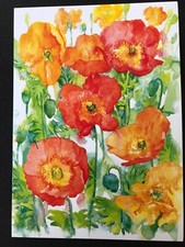 Phoenix Trading Cards. Orange