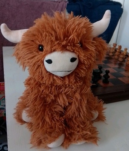 Highland cow plush toy - highland, 30cm