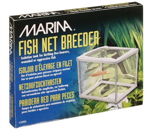Marina aquarium fish - marina,