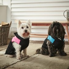 Dog Puppy Pet Warm Insulated