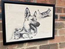 LOVELY  Ltd ed. SIGNED &