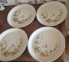 4 x  Harvest Dinner Plates