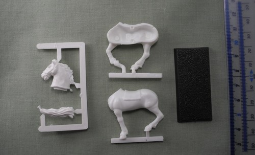 Rogue trader rough rider horse - trader,