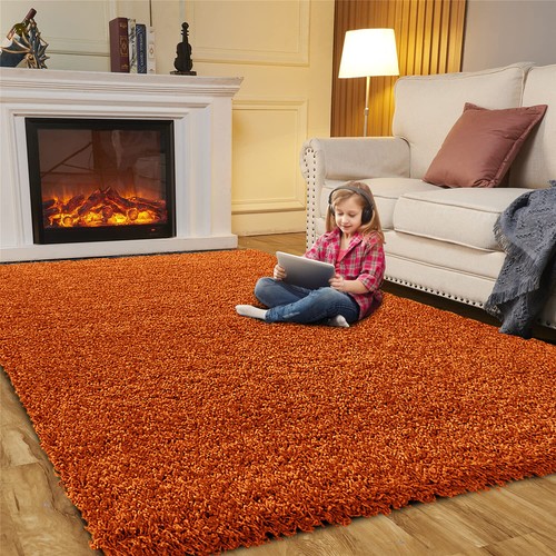 Large shaggy rugs non - large,