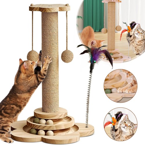 Cat scratching post - cat, kitten