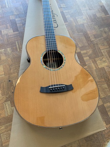 Tanglewood trs1e smart - tanglewood,,