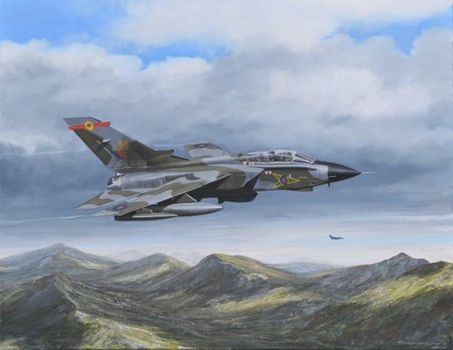 Panavia tornado squadron - panavia,