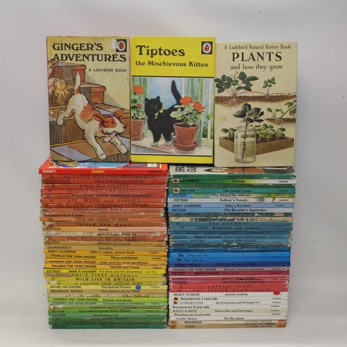 Vintage ladybird book - vintage,