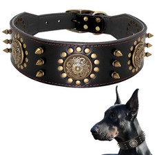 Leather Spiked Studde Dog