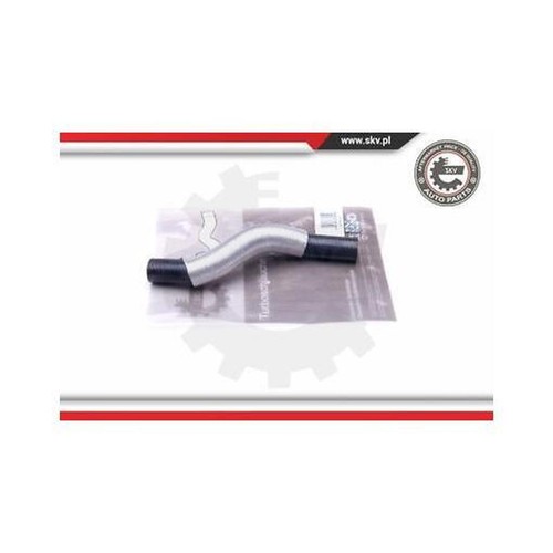 43skv067 esen skv - charger, air