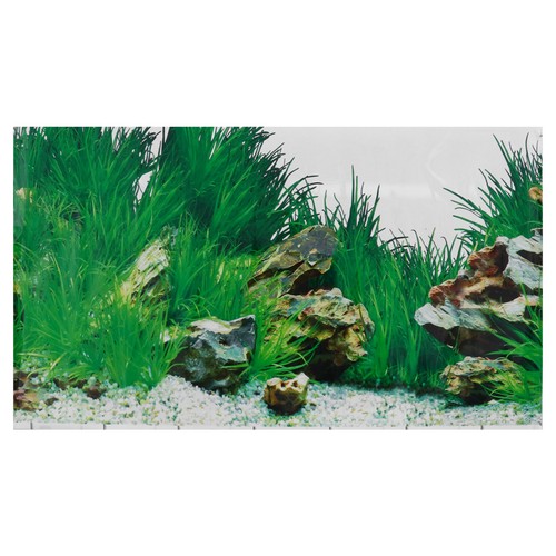 Aquarium background self - aquarium,
