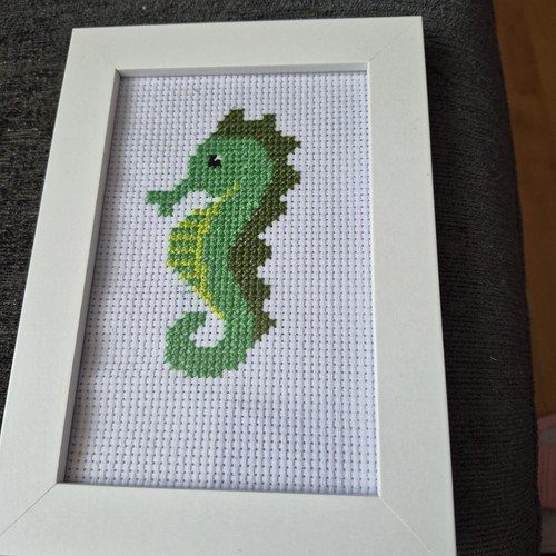 Finished sea horse cross - sea,
