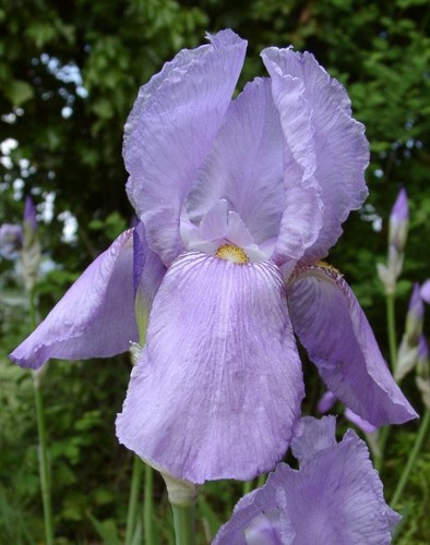 August delivery tall - august,
