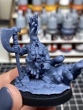 Dwarf Giant Seeker with Scenic