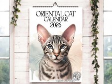 Oriental Cat Calendar 2026-Cat