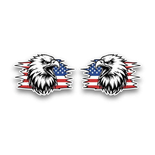 Small usa american bald - usa,