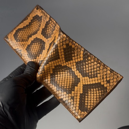 Burnt orange burmese python - orange,