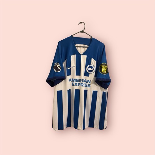 Brighton hove albion - brighton,