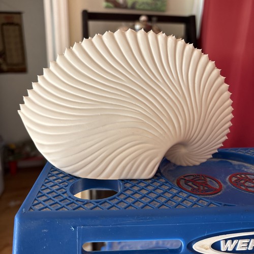Roost paper nautilus - paper,