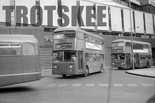 35mm Negative Midland Red BMMO