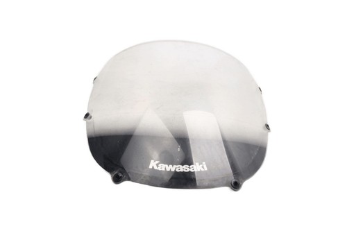 Windshield fairing screen